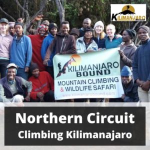 Northern Circuit Route Climbing Kilimanjaro 7 March to 17 March 2020