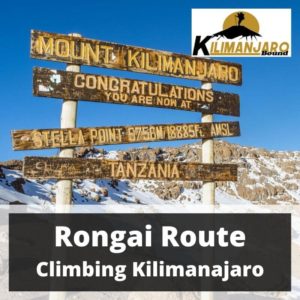 Rongai Route Trekking Kilimanjaro 1 November to 8 November 2020